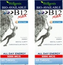 Wellgenix Bio-Available Sublingual B12 Max - Formulated for High Absorption - Nutritional Multivitamin B12, B6, Folate - Fast Dissolve (60 Ct) 2 Pack