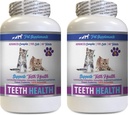 kat Bad Breath Treats - CAT Tænder Sundhed - Avanceret mund sundhed kompleks - immunboost - Vitamin b12 for katte - 2 flasker (120 tabletter)