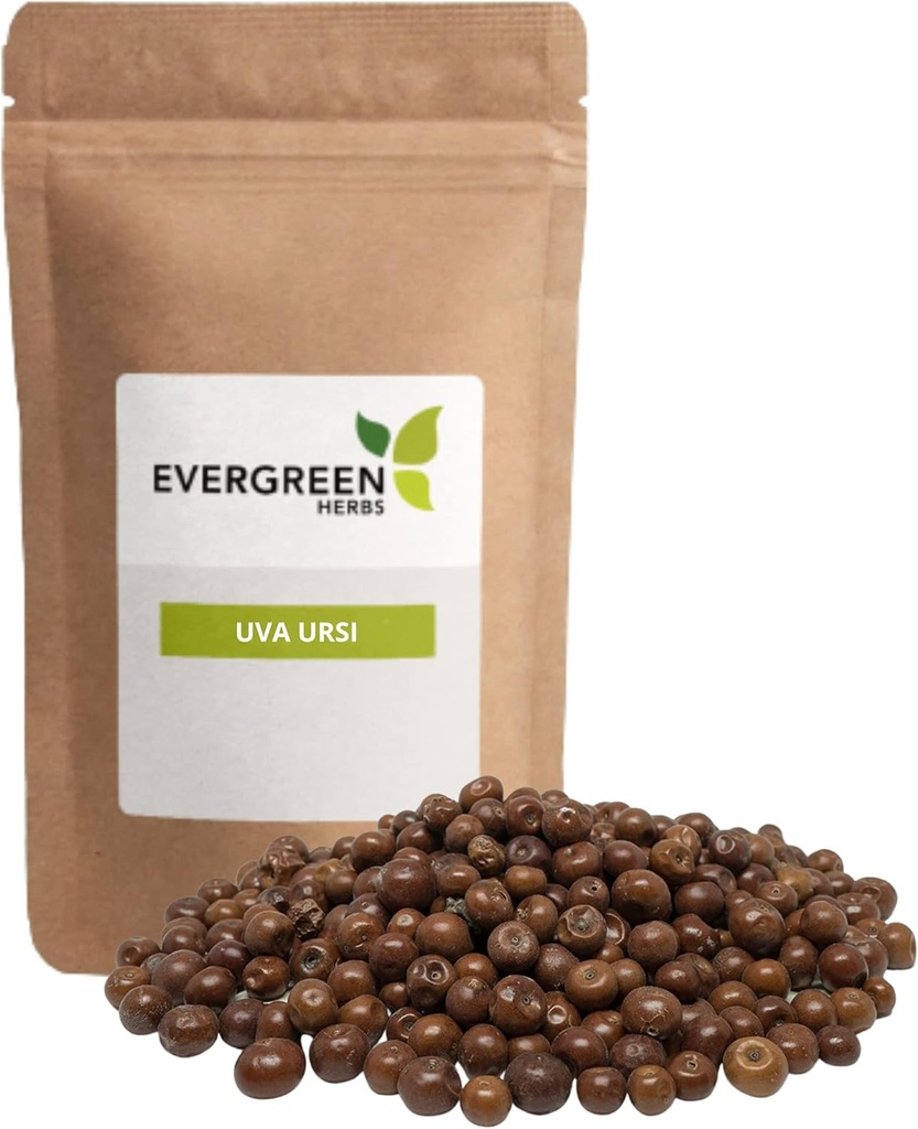 Evergreen Urbs Pinguica Fruto - Uva Ursi Fruit (8 oz.) - Resealable Stand Up Pouch at sikre friskhed!