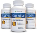 Gut Alive - All Natural Support to Fight IBS, Heartburn, Acid Indigestion, Acid Reflux, Bloating & Gas. Unique Formulation (60 Count (Pack of 3))