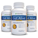 Gut Alive - All Natural Support to Fight IBS, Heartburn, Syre fordøjelsesbesvær, Syre Reflux, Bloating & Gas. Unik formering (60 Greve (Pack of 3))