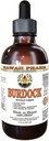 Burre Alkohol- Free Liquid Extract, Organic Burdock (Arctium Lappa) Tørret Root Glycerit Hawaii Pharm Natural Herbal Supplement 2 oz