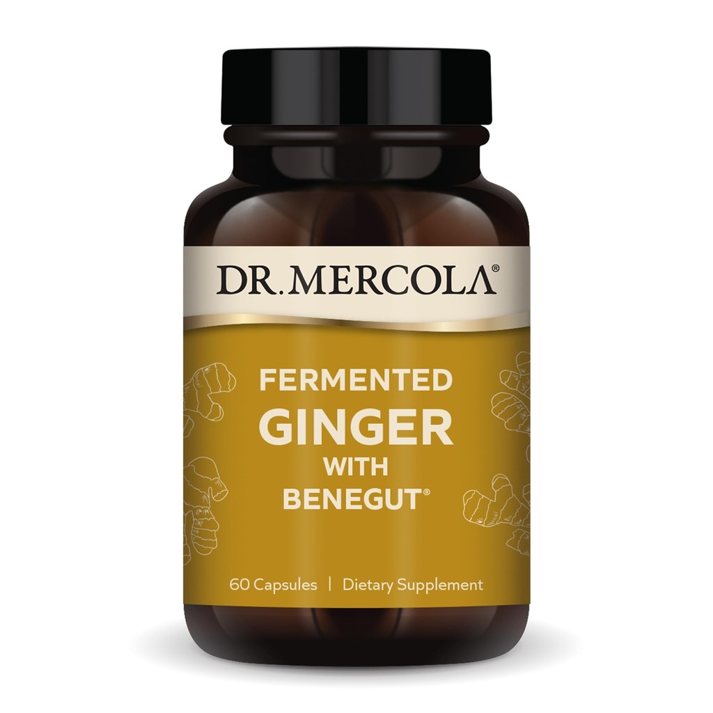 Dr. Mercola Gæret Ginger med Benegut - Understøtter fordøjelsessygdomme & Gut Sundhed - Aids Lejlighedsvis Gas, Bloating & Diskomfort - Non-GMO, Gluten- Free & Soy- Free - 60 Kapsler (60 Servere)