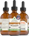 RawGuru Cordyceps Mushroom Supplement - Vegan Cordyceps Extract with Trace Minerals - Nano-Processed Immunity Boost & Cognitive Supplement Tincture - 60 Servings of Vegan Drops per 60 ml, Pack of 1