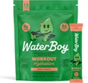 Waterboy Workout Hydration Mea124; 2,960mg Sugar Free Electrolyte Powder Packets Mea124; L- Glutamin + Vitamin Mea124; No Sugar, All Natural, Gluten Free Mea124; 15 Drink Stick Mixes (Fruit Punch)