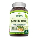 Herbal Secrets Boswellia Serrata Extract Supplement: 124; 65% Boswellinsyre: 124; 600 Mg pr Servering: 124; 60 Kapsler: 124; Non- GMO: 124; Gluten- fri; 124; Fremstillet i USA