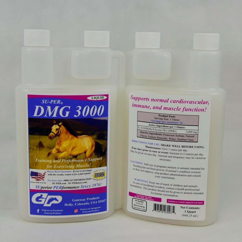 SU- PER DMG 3000 Horse Supplement - Træning & Performance Support Liquid - Understøtter normal kardiovaskulær immunforsvar & muskelfunktion - 1 Quart, (2 Pack)