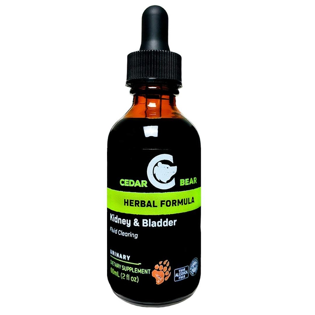 Cedar Bear Nyre & Bstigen Blend en flydende urte supplement, der lindrer, tonifies og understøtter Proper Fluid Dynamics for The Bregen og Urinary System 2 Fl Oz