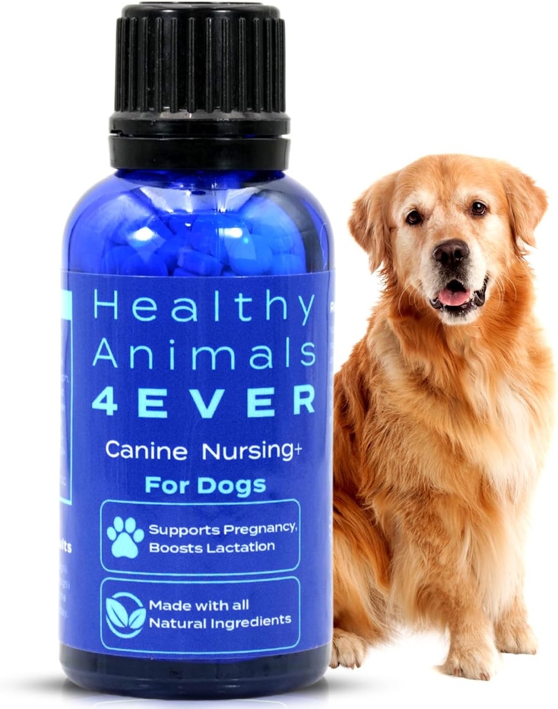 HA4E - Canine Graviditet & Sygepleje Support - Øger Amning & Hjælper med at forebygge Graviditet & Sygeplejerske Spørgsmål - Sikker, Fastvirkende, Naturpleje Formel - 300 Tabletter