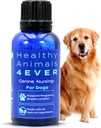 HA4E - Canine Graviditet & Sygepleje Support - Øger Amning & Hjælper med at forebygge Graviditet & Sygeplejerske Spørgsmål - Sikker, Fastvirkende, Naturpleje Formel - 300 Tabletter