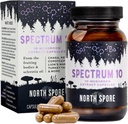 North Spore Organic 'Spectrum 10' Mushroom Uddrag Kapsler 124; Cognitive Supplementet 124; Lion 's Mane, Chaga, Cordyceps, Reishi, Tyrkiet Tail 124; 10 Medicinsk Mushrooms