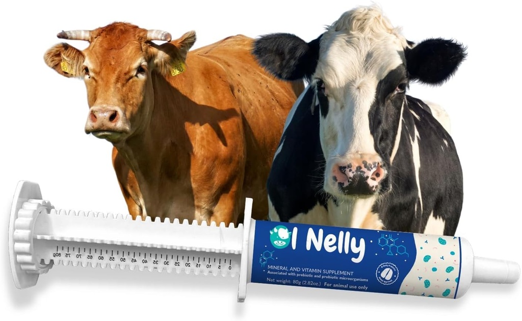 Ruminants Pre and Probiotic Paste (80g) - Pre and Probiotics with Vitamin and Minerals - 6 Strops og 8 milliarder CFU- Immun- og Gastro Health Support til alle Ruminants: Kvæg, Geder & Mere