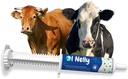 Ruminants Pre and Probiotic Paste (80g) - Pre and Probiotics with Vitamin and Minerals - 6 Strops og 8 milliarder CFU- Immun- og Gastro Health Support til alle Ruminants: Kvæg, Geder & Mere