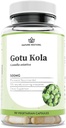 Nature Restore Gotu Kola Extract Supplement, Standardiseret til 10 Procent Tetripenes, Fremstillet i USA, 90 Kapsler, Non GMO, Gluten Free, Vegan