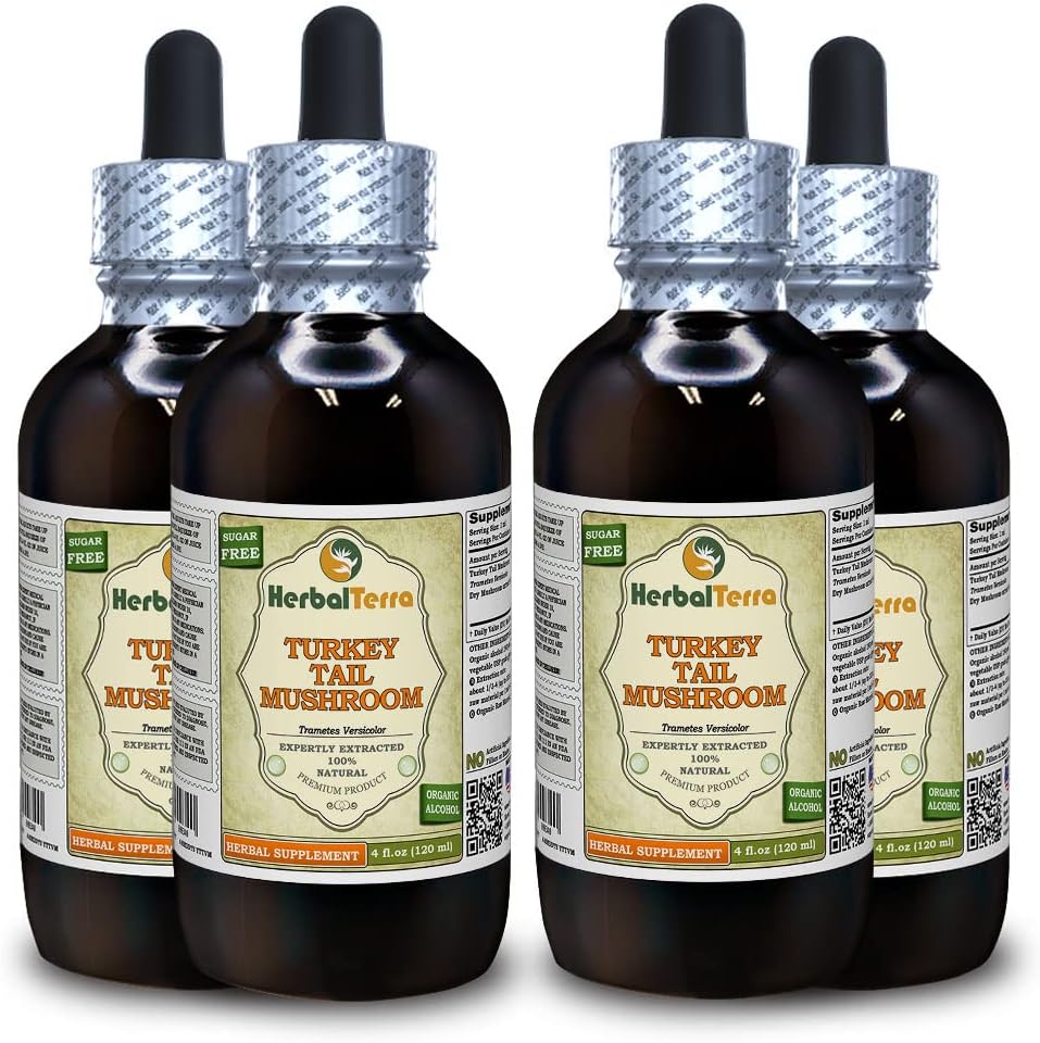 Tyrkiet Tail Mushroom (Trametes Versicolor) Tinktur, Tørret Mushroom flydende ekstrakt (Brand Name: HerbalTerra, Stolt Made in USA) 4x4 fl.oz (4x120 ml)