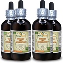 Tyrkiet Tail Mushroom (Trametes Versicolor) Tinktur, Tørret Mushroom flydende ekstrakt (Brand Name: HerbalTerra, Stolt Made in USA) 4x4 fl.oz (4x120 ml)