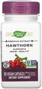 Nature 's Way Hawthorn Berries, 90 Kapsler (pakke med 2)