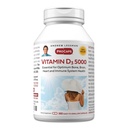 ANDREW LESSMAN Vitamin D3 5000 IU 360 Capsules - High Potency, Essential for Calcium Absorption, Supports Bone Health, Brain Health, Immune System, More. Small Easy to Swallow Capsules