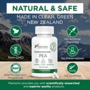 Palmitoylethanolamid Pea Supplement 600mg - Mikronised Pea Supplements 99% - 2 Months Supply - Advanced Natural Support for Joint Comfort