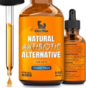 Cat Antibiotika til at hjælpe med Hoste & Allergier - Attraktiv kylling smag - 2 Oz flaske