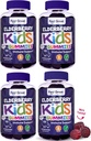 Feel Great Kids Elderberry Gummies med zink og C-vitamin (4-Pack)