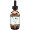 Indfødte retsmidler immunforsvar 14 Mushroom Blend at beskytte og vedligeholde immunsystemet funktion, 2 Fl oz.