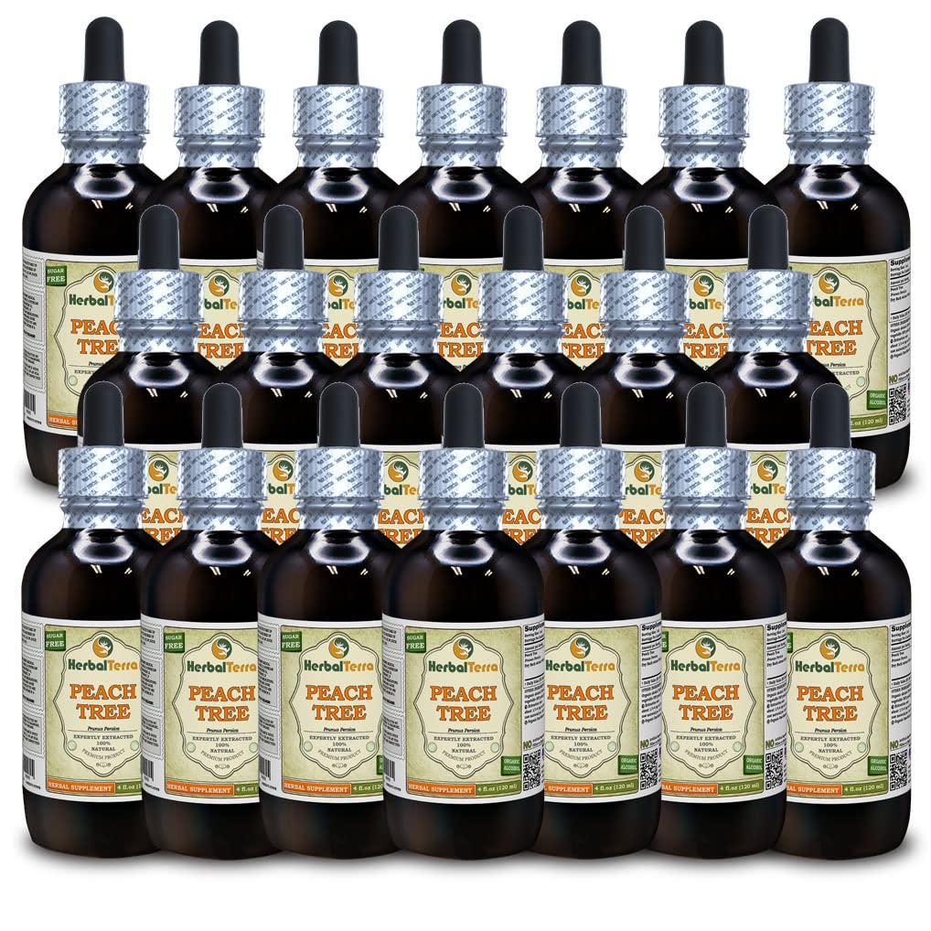 Peach Tree (Prunus Persica) Tincture, Dried Bark Liquid Extract (Brand Name: HerbalTerra, Proudly Made in USA) 20x4 fl.oz (20x120 ml)