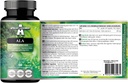 APOLLO 'S HEGEMONY ALA (Alpha Lipoic Acid) 600 mg - 60 Vegankapsler - Optimerer Glucose Management - Understøtter Mitochondrial Health - Two Month Supply