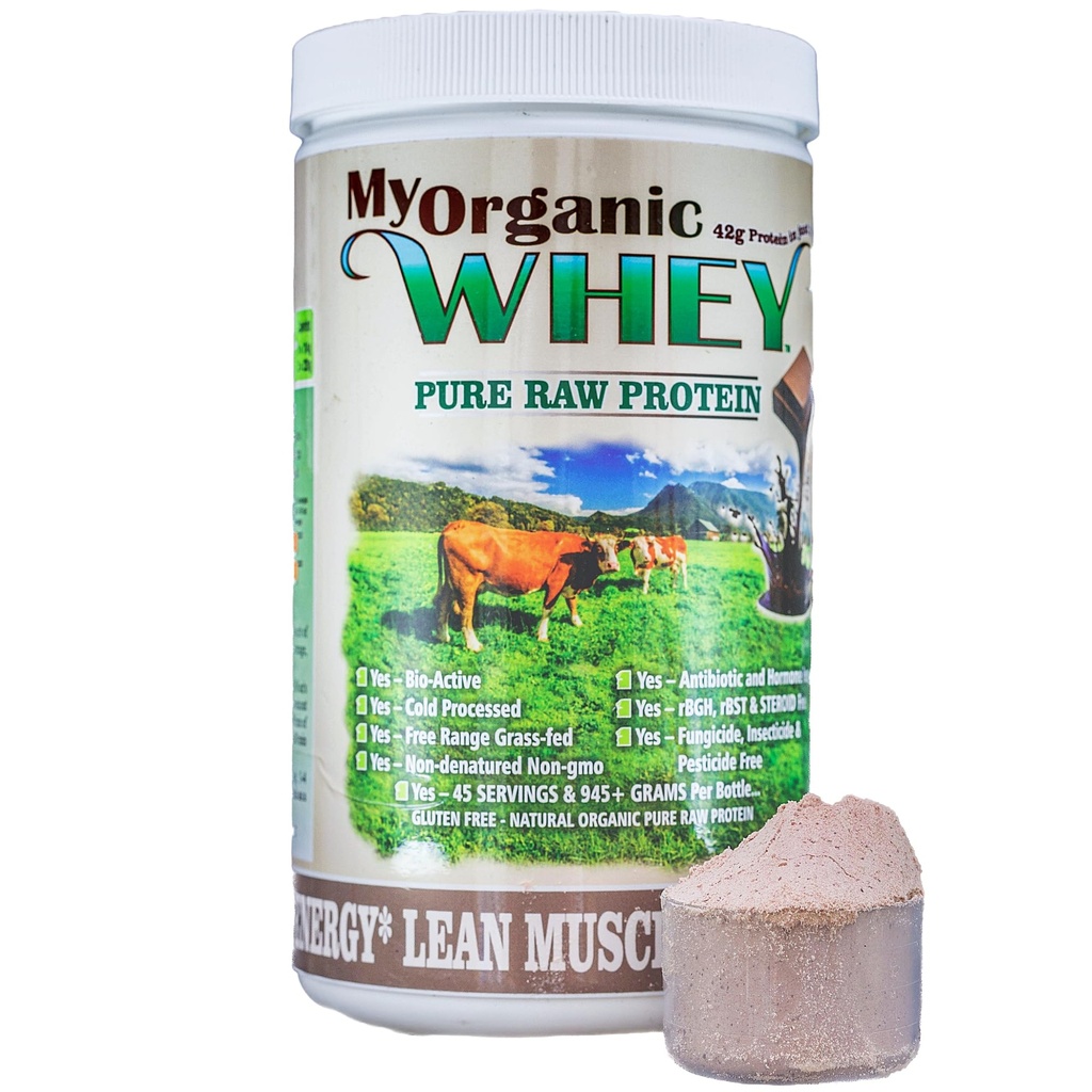 Organic Whey Protein Powder, Grass- Fed Non- GMO Cold Process Grade- A Milk rBST Hormone- Free Chocolate Protein Powder, Ingen Konserveringsmiddel eller Tilsætningsstoffer Pure Whey Protein (42g protein i bare 2 Scoops)