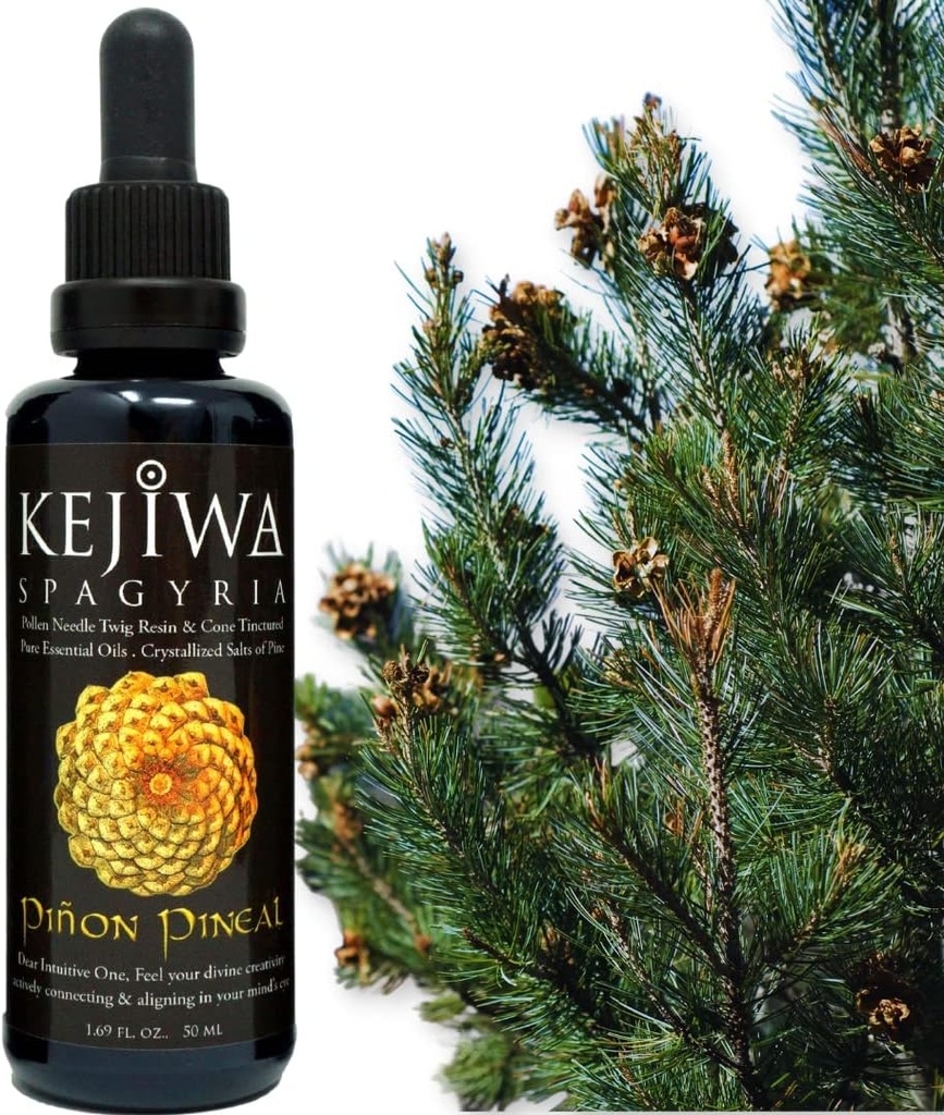 Kejiwa PIÑON PINEAL Spagyria: Wild Hartered Pine Herbal Tincture for Third Eye Activation, Nootrop, Adaptogen, Vitality Support 1.69 fl oz