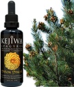 Kejiwa PIÑON PINEAL Spagyria: Wild Hartered Pine Herbal Tincture for Third Eye Activation, Nootrop, Adaptogen, Vitality Support 1.69 fl oz