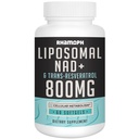 Liposomal NAD + 800 mg med Trans- Resveratrol 300 mg, Max Absorption, Faktisk NAD + Boosting supplement til sund aldring, cellular energi, DNA reparation, lang levetid - 60 Softgels