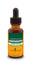 Herb Pharm Andrographs Liquid Extract for immunsystem Support, 1 Fl Oz (pakke af 1) (DANDRO01)