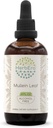 Mullein Leaf B120 Alkohol- Free Herbal Extract Tinktur, Super- koncentreret Mullein (Verbascum thapsus) Tørret Leaf (4 fl oz)