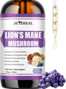 Lions Mane Liquid - Brain Support, Energy, Memory & Focus - Sugar & Alcohol- Free Lions Mane Supplement - 4 Fl OZ, 4 Måned Supply, Grape Flavor