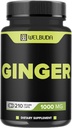 1000mg Ginger Kosttilskud Kapsler med Berberine HCl, Elderberry, Echinacea & mere - 11in1 Support fordøjelse, fælles sundhed, immunsystem, og hjerte sundhed - 210 Ginger piller