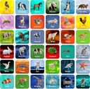 Hebayy 36 Par Animal Matching Game Flash Cards Prospecable (Hver foranstaltning 2 "X 2")