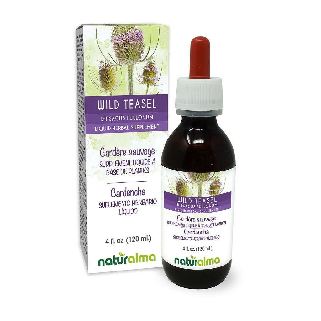 Naturalma Wild Teasel eller Fullers Teasel (Dipsacus fullonum eller D. sylvestris) Root Alkohol- Free Tincture - 4 fl oz Liquid Extract in Drops - Herbal Supplement - Vegan