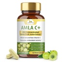 Økologisk Veda Amla Frugtkapsler, 20 X Koncentreret Amla Berry Juice Uddrag Natural Vitamin C Supplement - Potent Antioxidanter, Immunitet, Hud Radiance - Vegansk Vitamin C Amla Pulver Kapsel 120