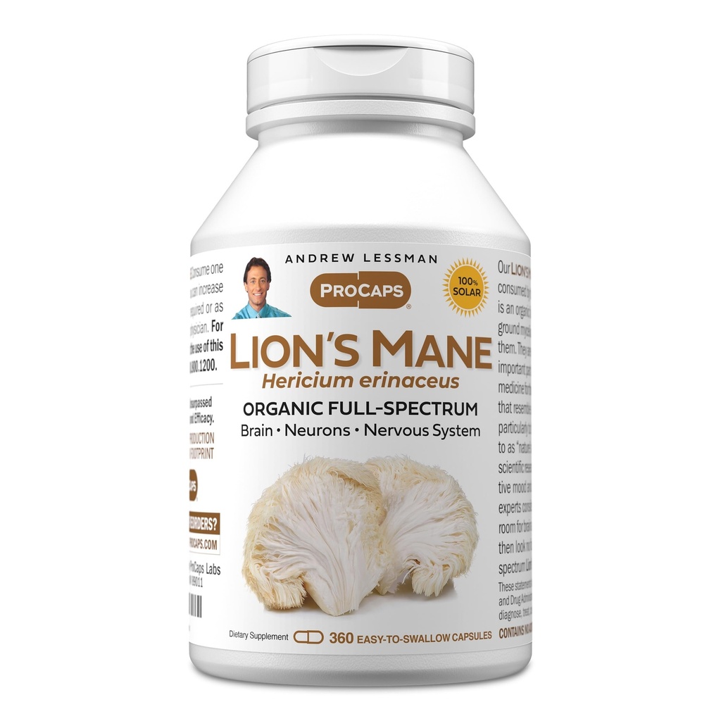 ANDREW LESSMAN Lions Mane 360 Capsules - Organic Full Spectrum Lions Mane Mushroom Extract - Understøtter sund hjerne, kognitiv, og nervesystem funktion - Ingen tilsætningsstoffer.