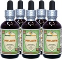 Psyllium (Plantago Ovata) Glycerit, Organic Tørret Husk Alkohol- Free Liquid Extract (Brand Name: HerbalTerra, Stolt Made in USA) 5x2 fl.oz (5x60 ml)