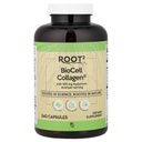 Vitacost ROOT2 BioCell Collagen med hyaluronsyre -- 100 Milligram per servering - 240 kapsler
