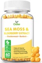 Sea Moss Gummies for voksne og børn, 2000mg Raw Seamoss, Bladderwrack, Burdock Root, Elderberry, Pepper, C-vitamin & D3, Zink Supports Immunsystem & Boost Energy (1-Pack)