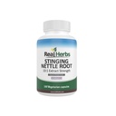 Rigtige urter Stinging Nettle Root Extract 7500mg (750mg af 10: 1 Extract) - Vegetarisk Friendly, Non- GMO, Gluten- Free - Understøtter prostata & urinveje - 100 kapsler