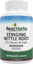 Rigtige urter Stinging Nettle Root Extract 7500mg (750mg af 10: 1 Extract) - Vegetarisk Friendly, Non- GMO, Gluten- Free - Understøtter prostata & urinveje - 100 kapsler