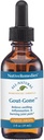 Native Remedies Gout- Borte - Natural Homøopatisk Formel for den fælles hævelse, rødme og discomfort of Gout - 59 ml