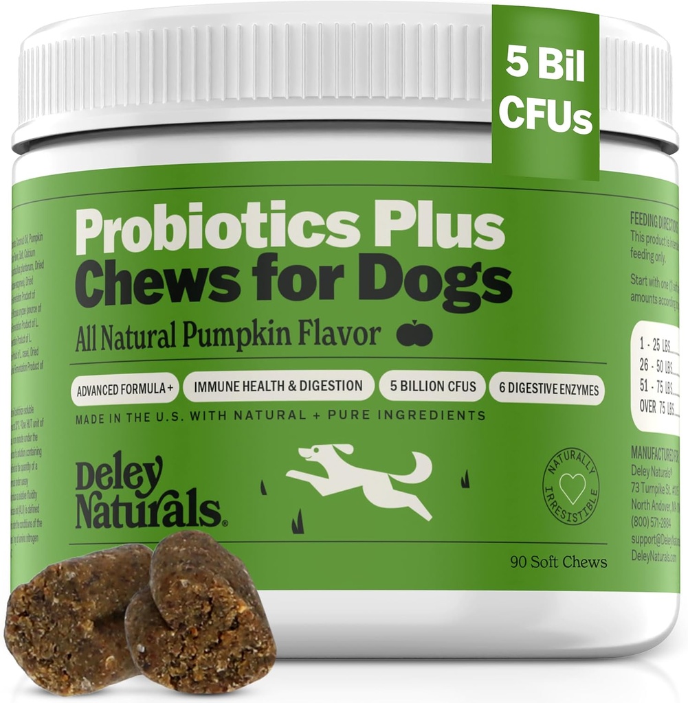 Deley Naturals Probiotika Plus Chews for Hunde, Gut Health Supplement, 5 Millioner CFU 'er, fordøjelsesenzymer, Prebiotika, Hundeallergi, Diarré, Gær, Græskar Flavor, 90 Greve - Made in The USA