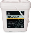 PURICA Recovery Extra Strength - Equine Joint Supplement - Omfattende støtte til heste - Ideal Horse Joint Supplement til ældre heste, MSM Powder inkluderet - 11 LB Powder