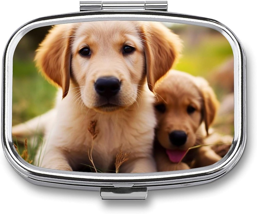 Cute Golden Retriever Puppy Pill Box 2 Segment Portable Pill sag Daily Square Pill Organizer for Pocket Purse Daily Medicine Container til at holde Vitaminer Fish Oil Travel Gaver