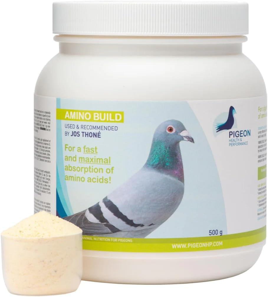 Generisk PHP Amino Build 500g - Muscle- Building Aminosyrer Pigeon Sundhed & ydeevne